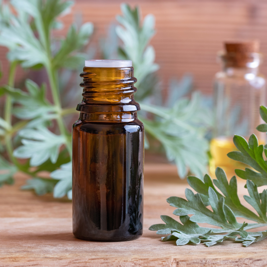 Ginger and Wormwood: Unlocking Health and Wellness Benefits