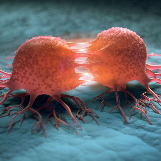 Cancer in Kids and Adults Is Rising — Here's What You Can Do About It