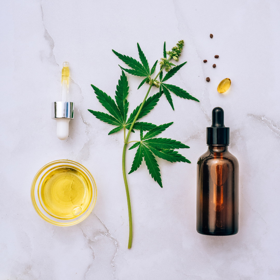 Hemp Seed Oil: A Natural Solution For Stress And Anxiety Relief as well as Modern Cosmetics
